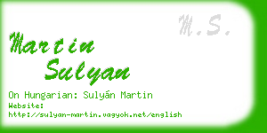 martin sulyan business card